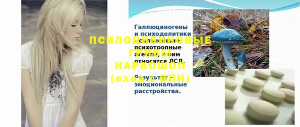 эйфоретик Аркадак