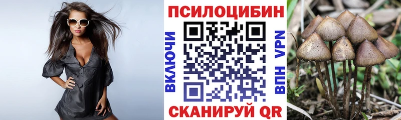 Галлюциногенные грибы Cubensis  Строитель 